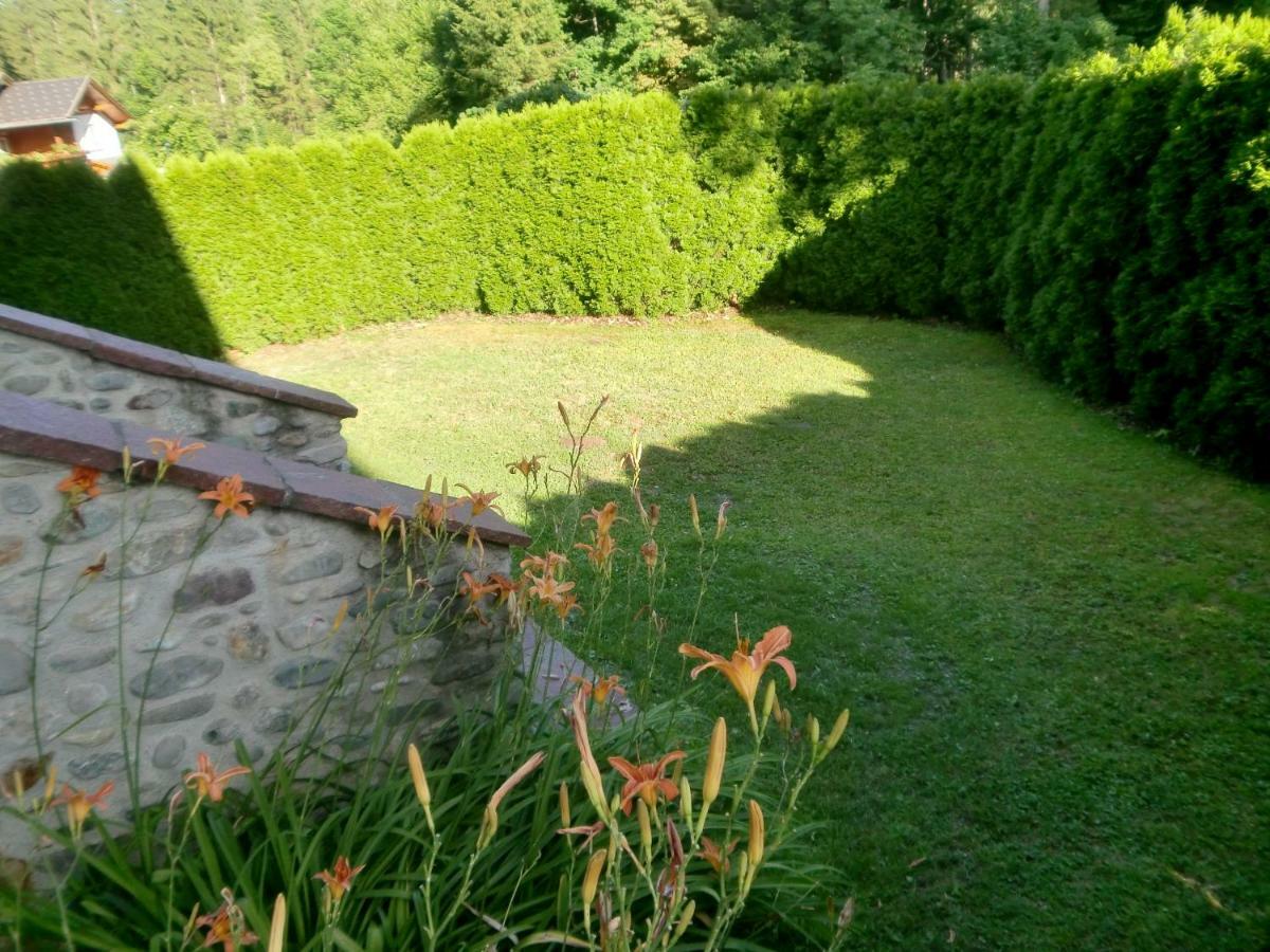 Garten- & Loggia-Appartement Herrenhaus Dellach im Drautal ภายนอก รูปภาพ